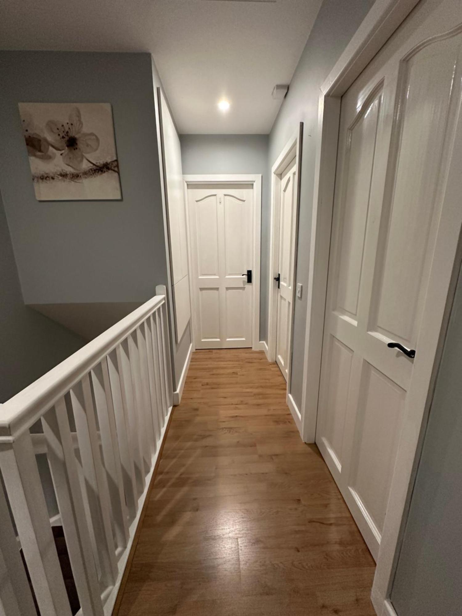 Blush Jungle - Homestay Dublin Bagian luar foto